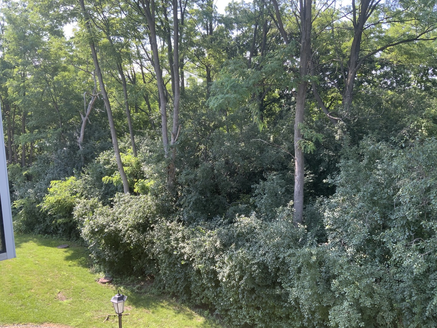 462 South President Street, Unit 304 Carol Stream, IL 60188 - Photo 12 of 50