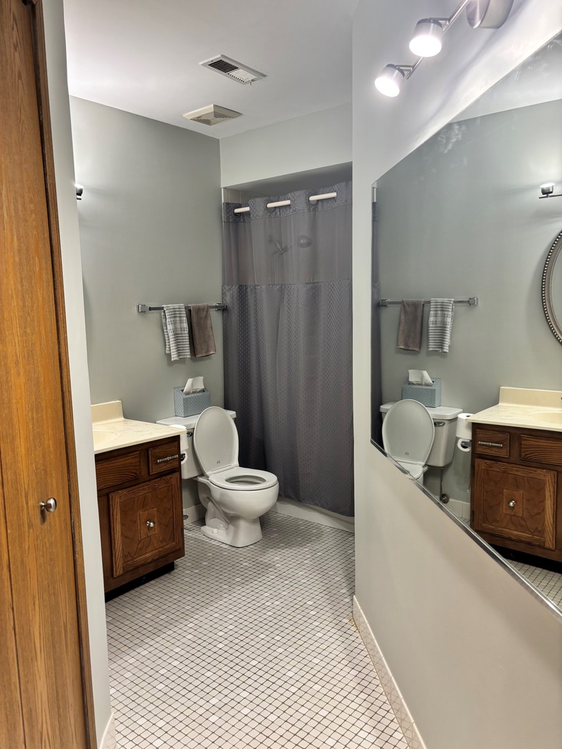 462 South President Street, Unit 304 Carol Stream, IL 60188 - Photo 33 of 50