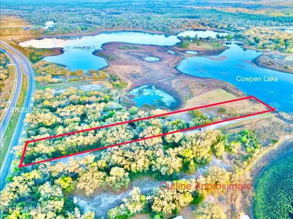 a view of yard with trees