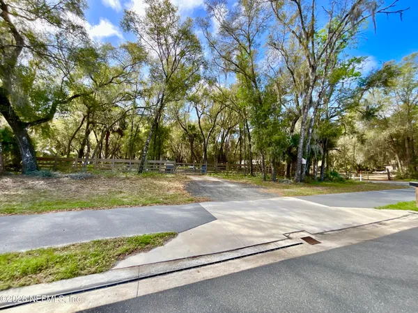 a view of a yard with a tree