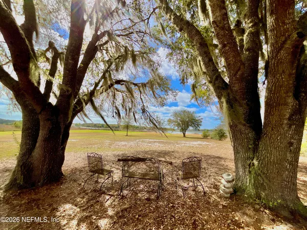 a view of a lake from a yard