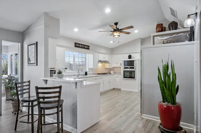 a kitchen with a potted plant on the counter and cabinets