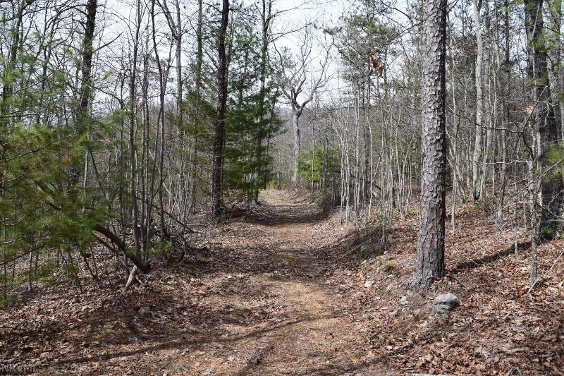 Norris Run Road Blacksburg, VA 24060 - Photo 9 of 21 Gallery Image 9