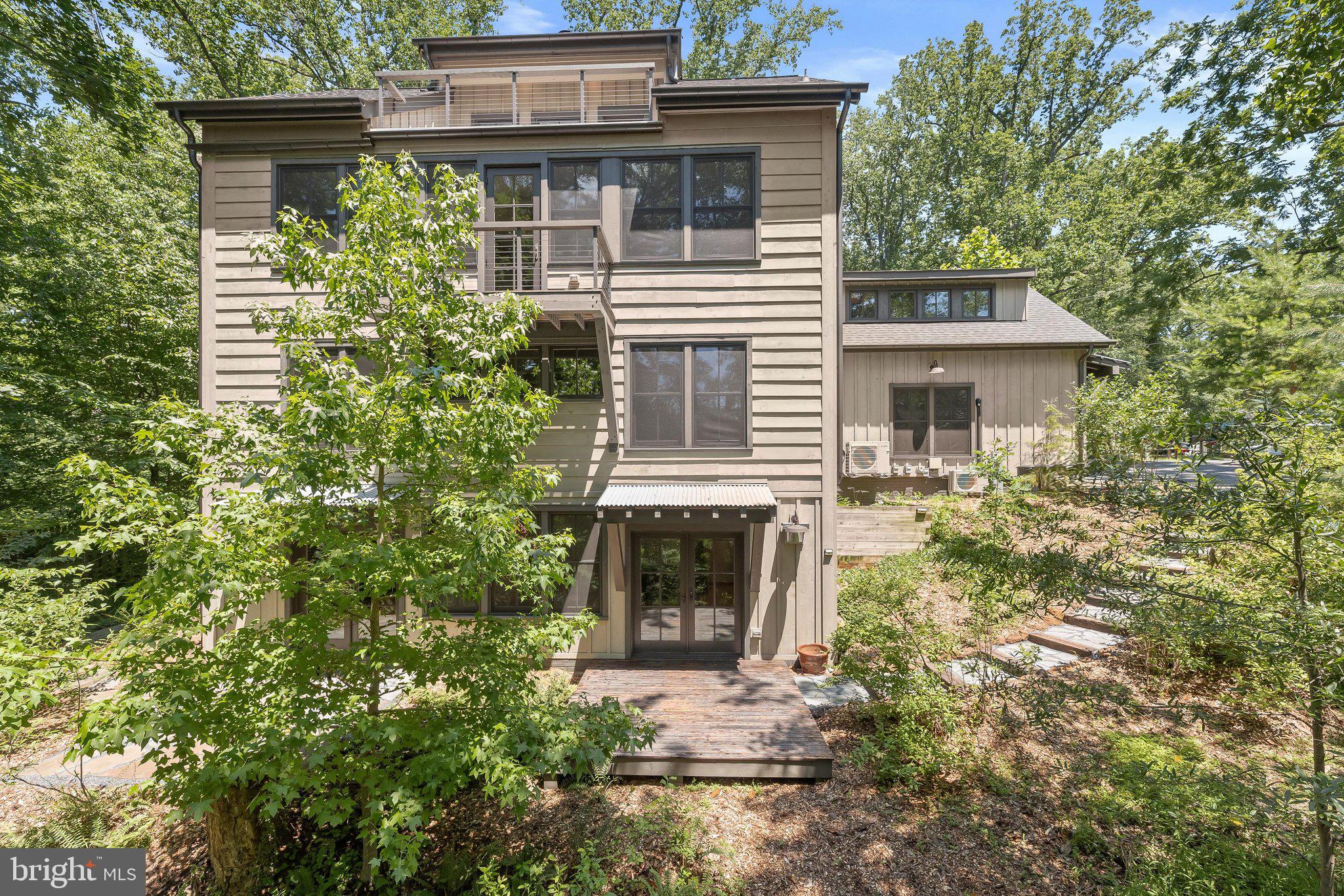 Low Maintenance Yard with Diverse Native trees and