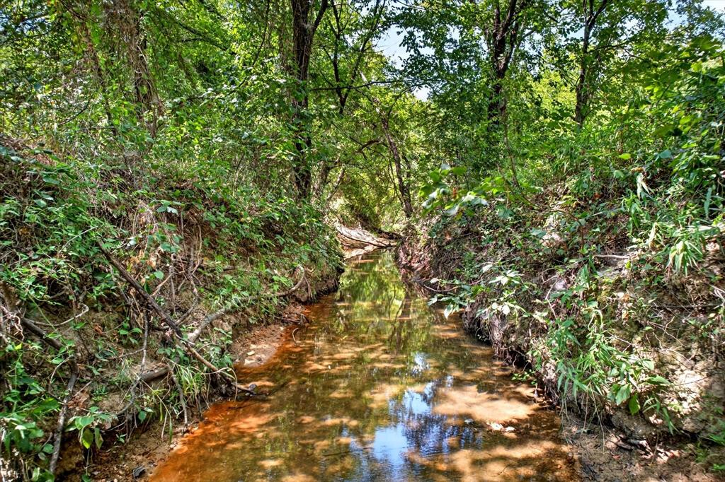 4571 Running Branch Road Aubrey, TX 76227 - Photo 11 of 26 Natural water feature bordered by dense, mature foliage