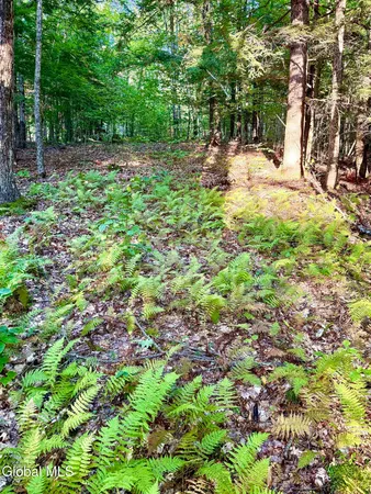 $129,000 | 344 Dickinson Hill Road, Bolton, NY 12824