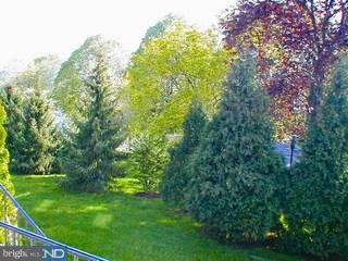 8816 Ridge Avenue, Unit 26 Philadelphia, PA 19128 - Photo 6 of 6 Gallery Image 6
