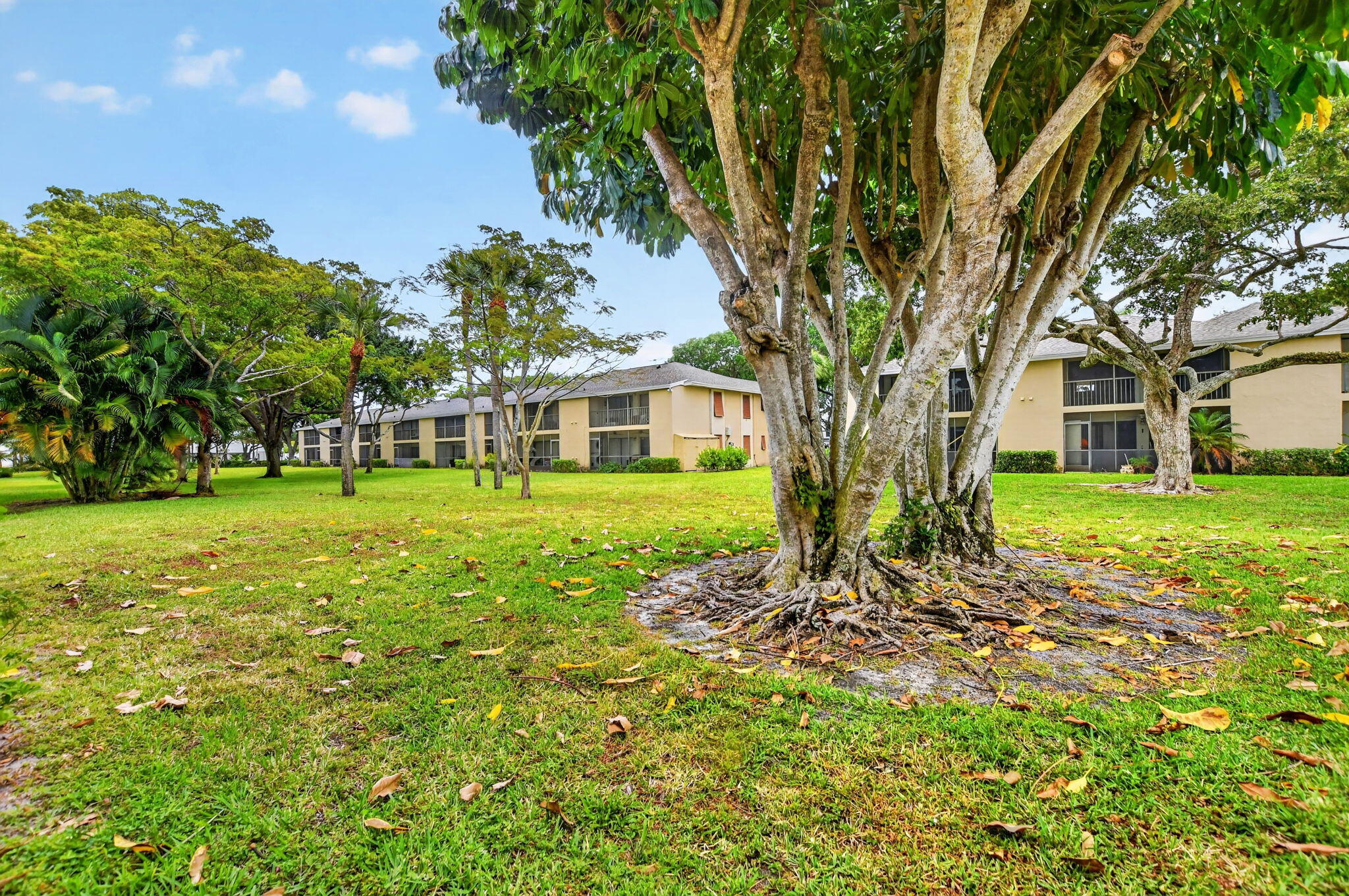3939 Northeast 5th Avenue, Unit C102 Boca Raton, FL 33431 - Photo 24 of 41 31-web-or-mls-DSC_8905
