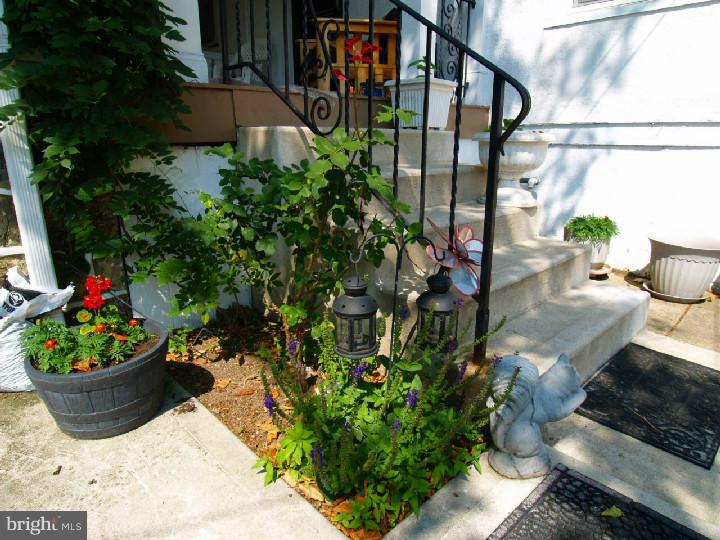 243 Shirley Road Upper Darby, PA 19082 - Photo 4 of 25