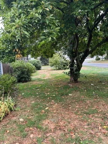 a view of outdoor space with deck and yard