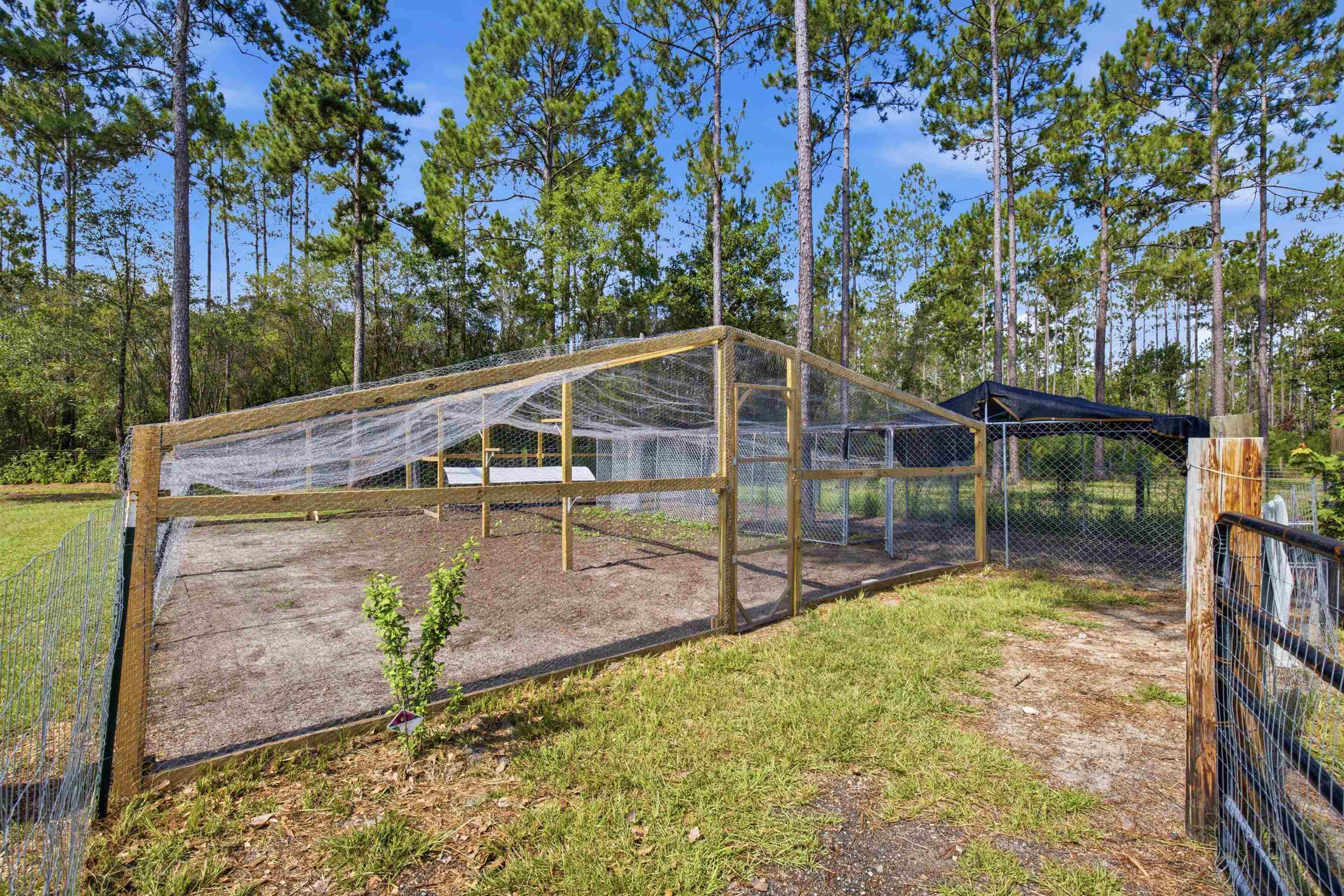 2860 Smith Creek Road Sopchoppy, FL 32358 - Photo 52 of 70