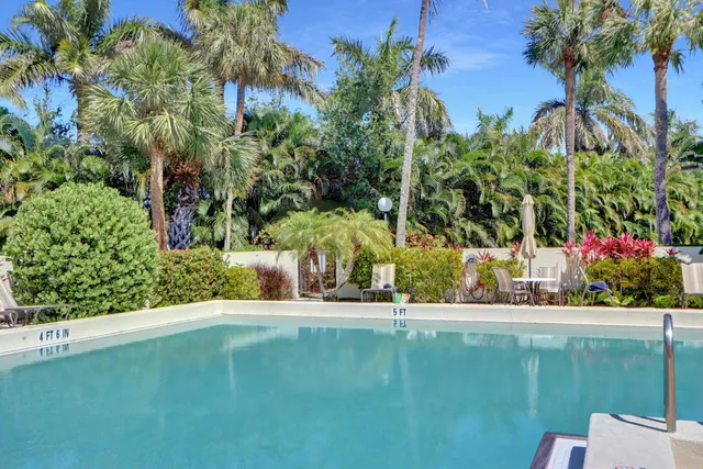 a view of a garden with a bench