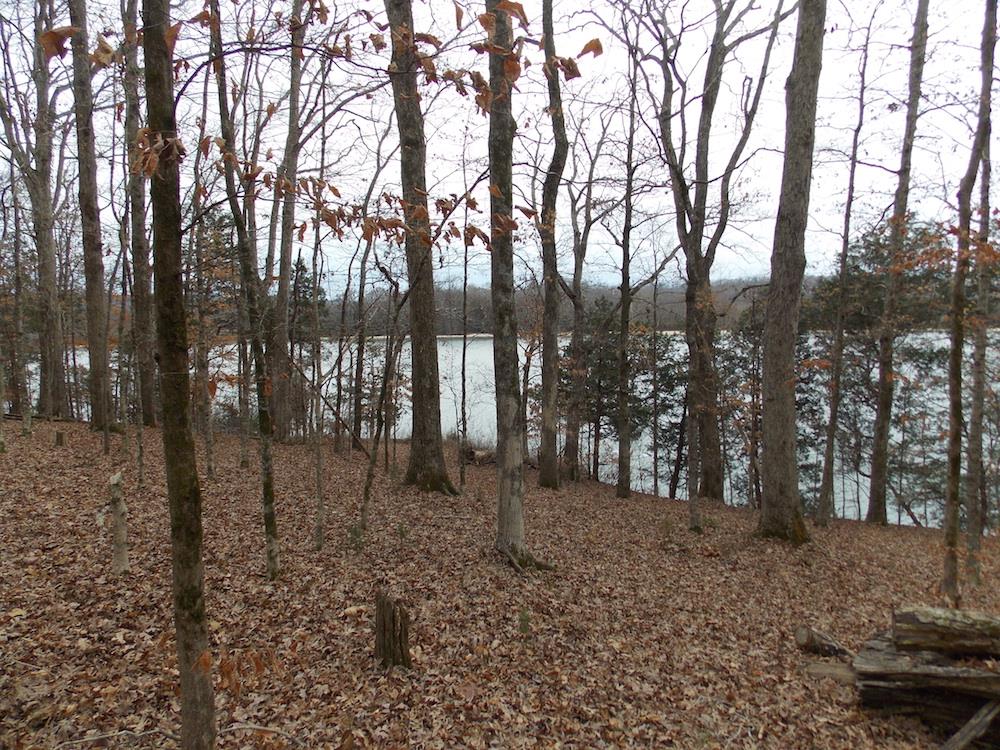 752 Jennings Bluff Road Linden, TN 37096 - Photo 19 of 21 Gallery Image 19