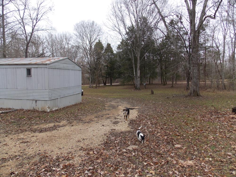 752 Jennings Bluff Road Linden, TN 37096 - Photo 3 of 21 Gallery Image 3