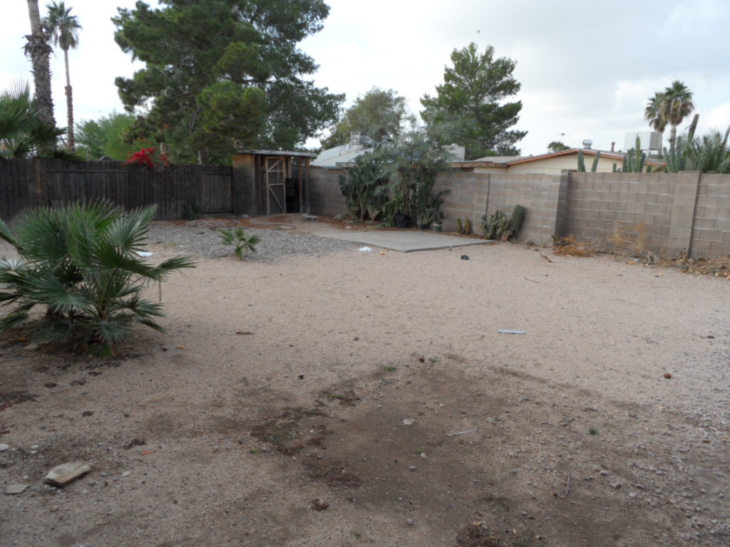 1550 West Escuda Road Phoenix, AZ 85027 - Photo 8 of 8 LARGE BACK YARD