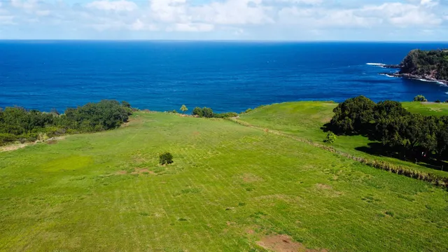 a view of an ocean from a yard