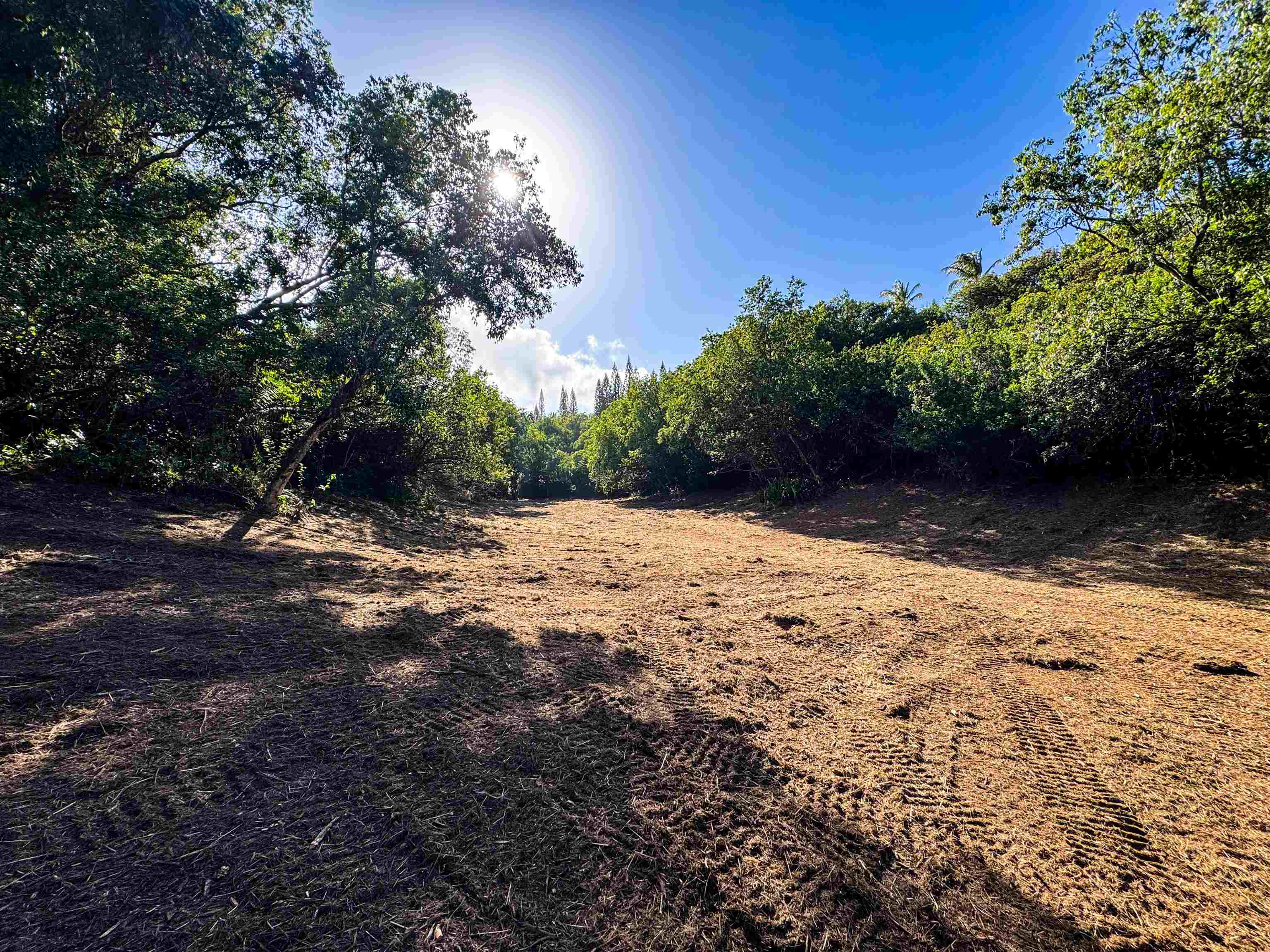 402 Mehana Road Haiku, HI 96708 - Photo 15 of 20 a view of a yard with trees