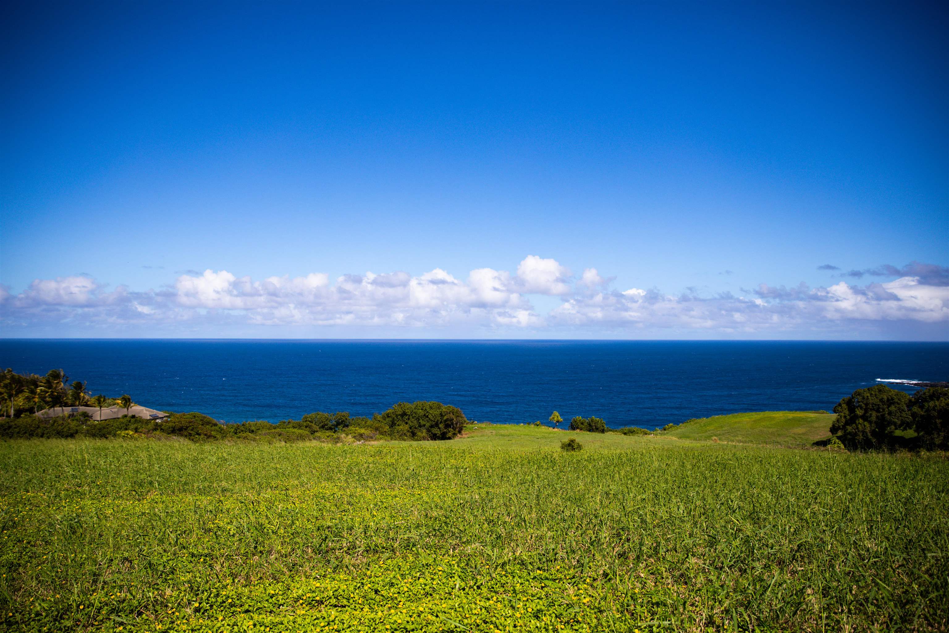 402 Mehana Road Haiku, HI 96708 - Photo 17 of 20 a view of an ocean and a yard