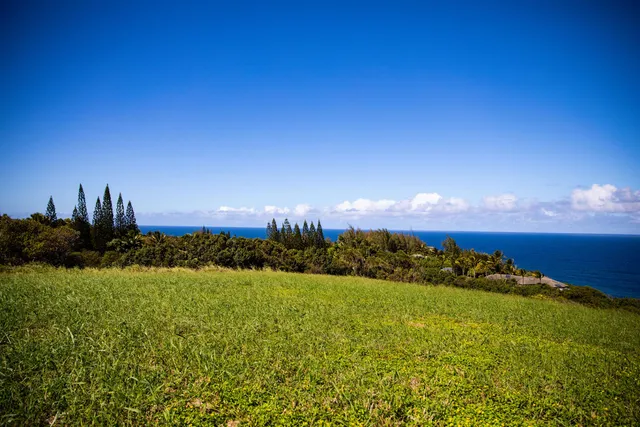 a view of a lake with a mountain in the background