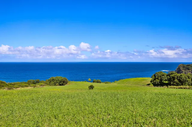 a view of a lake with a house in the background