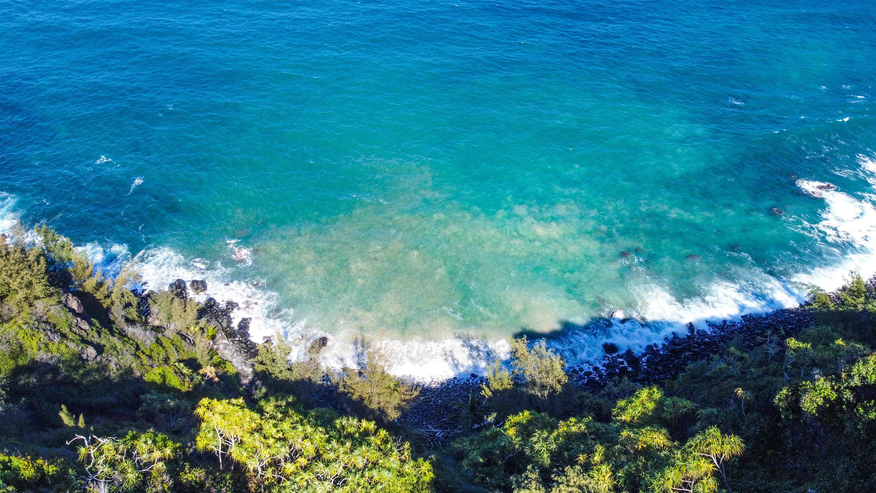 402 Mehana Road Haiku, HI 96708 - Photo 3 of 20 a view of a garden with plants