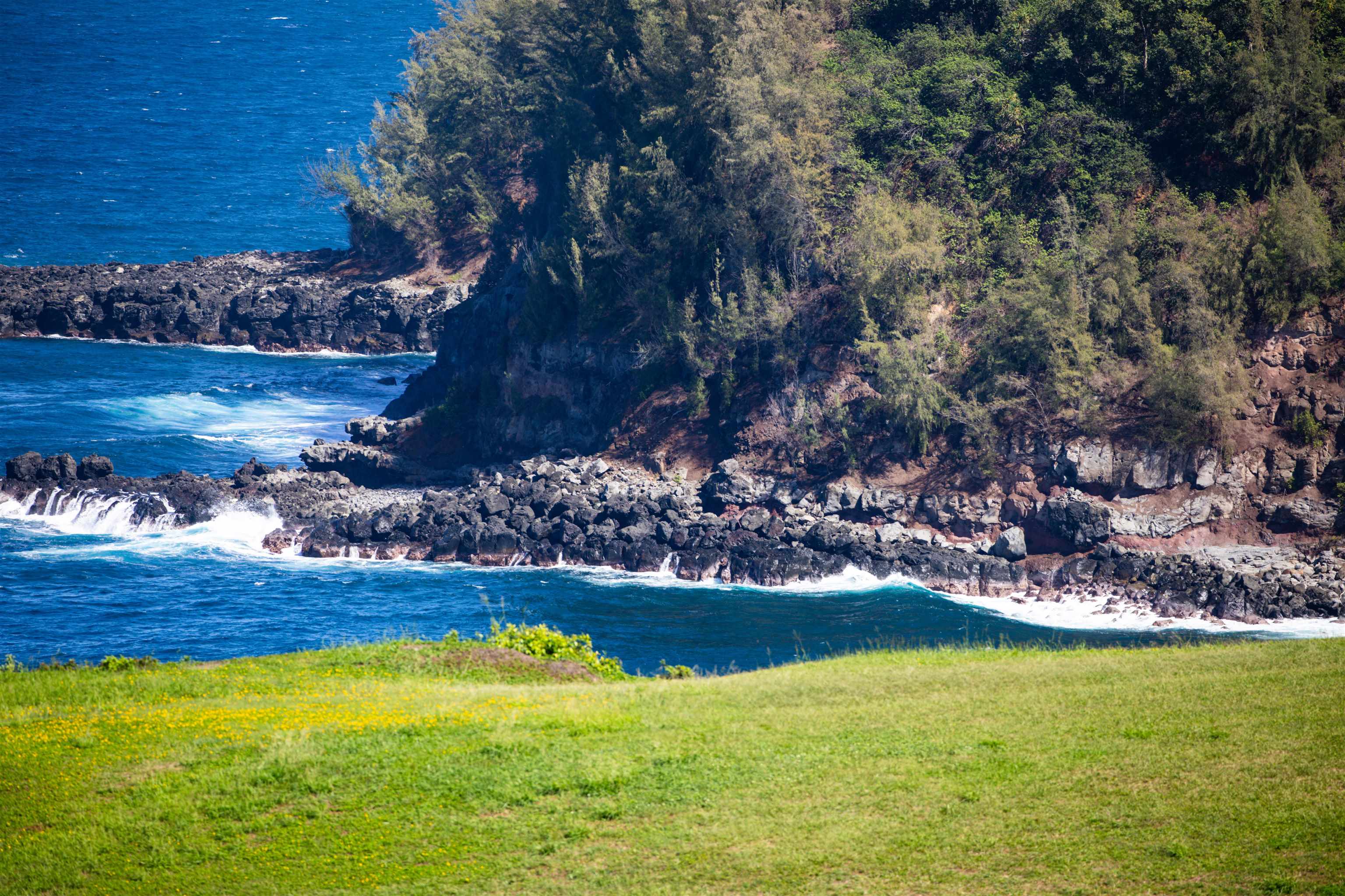 402 Mehana Road Haiku, HI 96708 - Photo 4 of 20 a view of a yard with an outdoor space