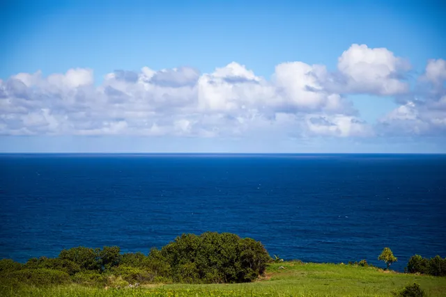a view of an ocean