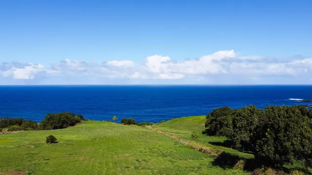 a view of an ocean from a yard