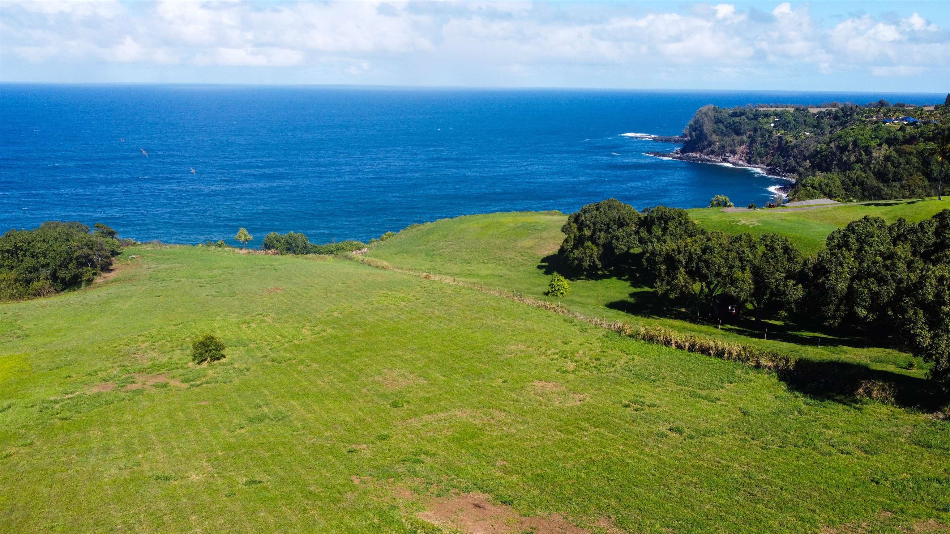 402 Mehana Road Haiku, HI 96708 - Photo 9 of 20 a view of an ocean from a yard