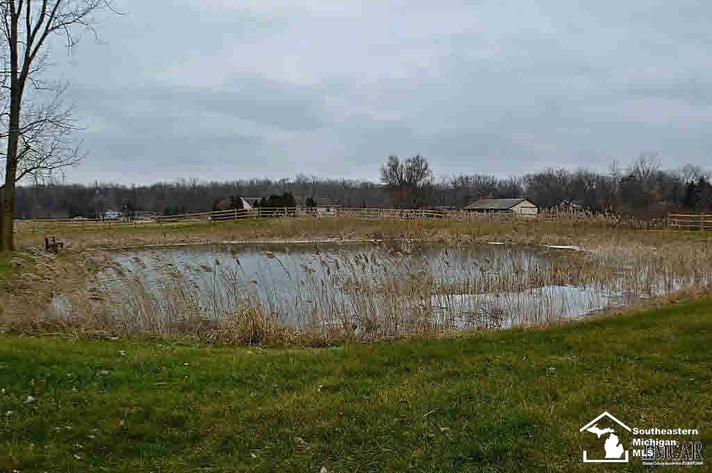 12324 South Custer Road Dundee, MI 48131 - Photo 32 of 34 21244455-31.JPG