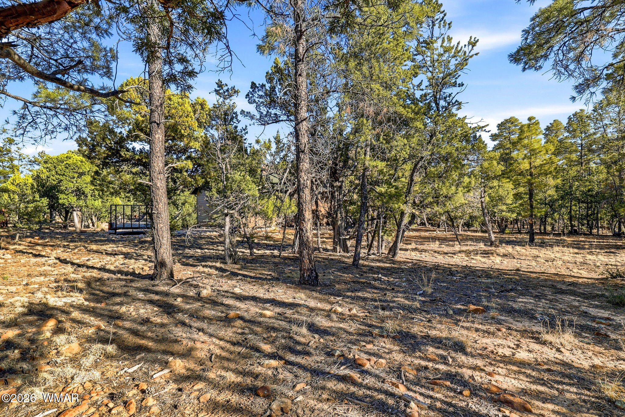 3408 Ponderosa Loop Heber, AZ 85928 - Photo 39 of 57 a view of a yard with plants and trees