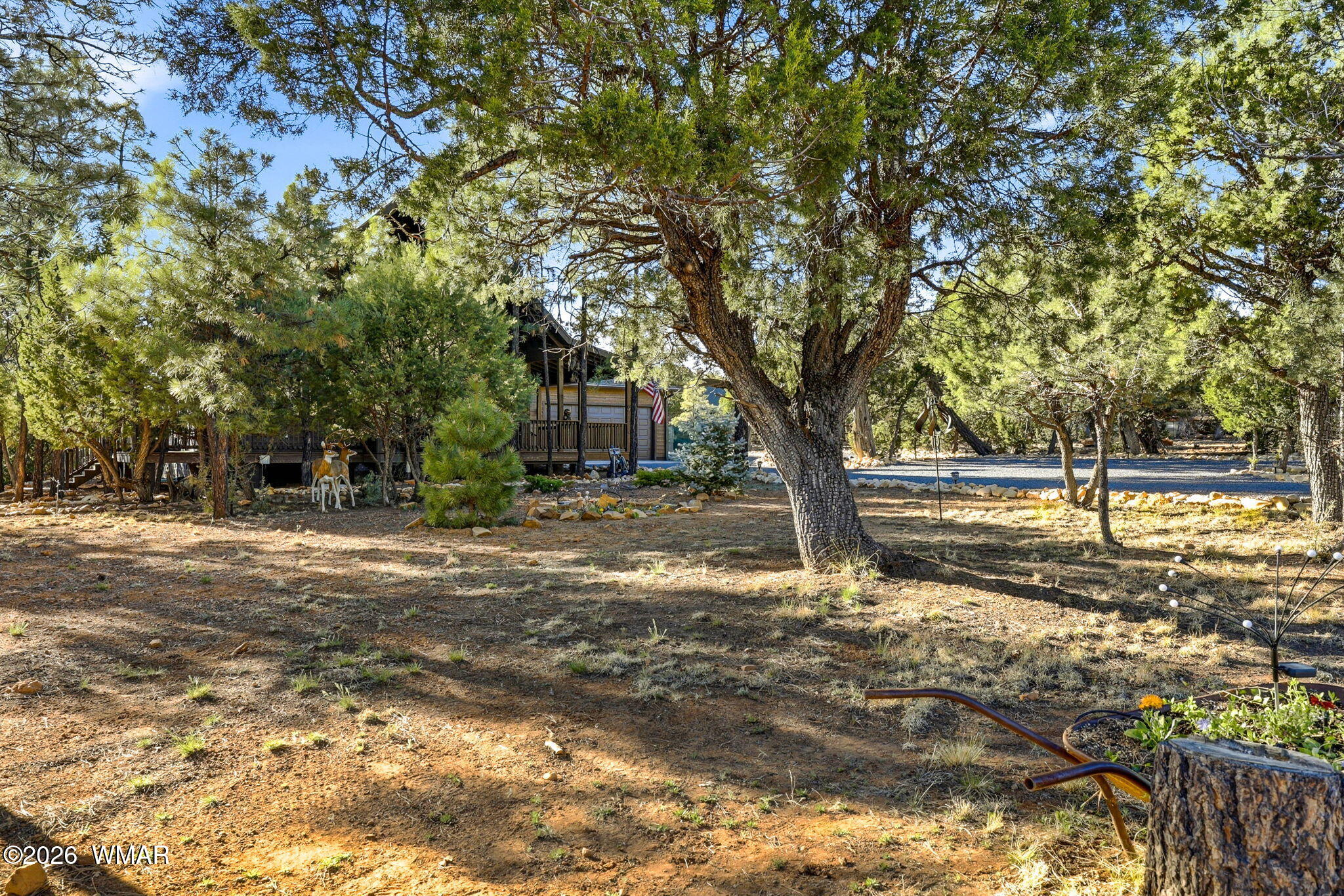 3408 Ponderosa Loop Heber, AZ 85928 - Photo 46 of 57 a view of a yard with plants and trees