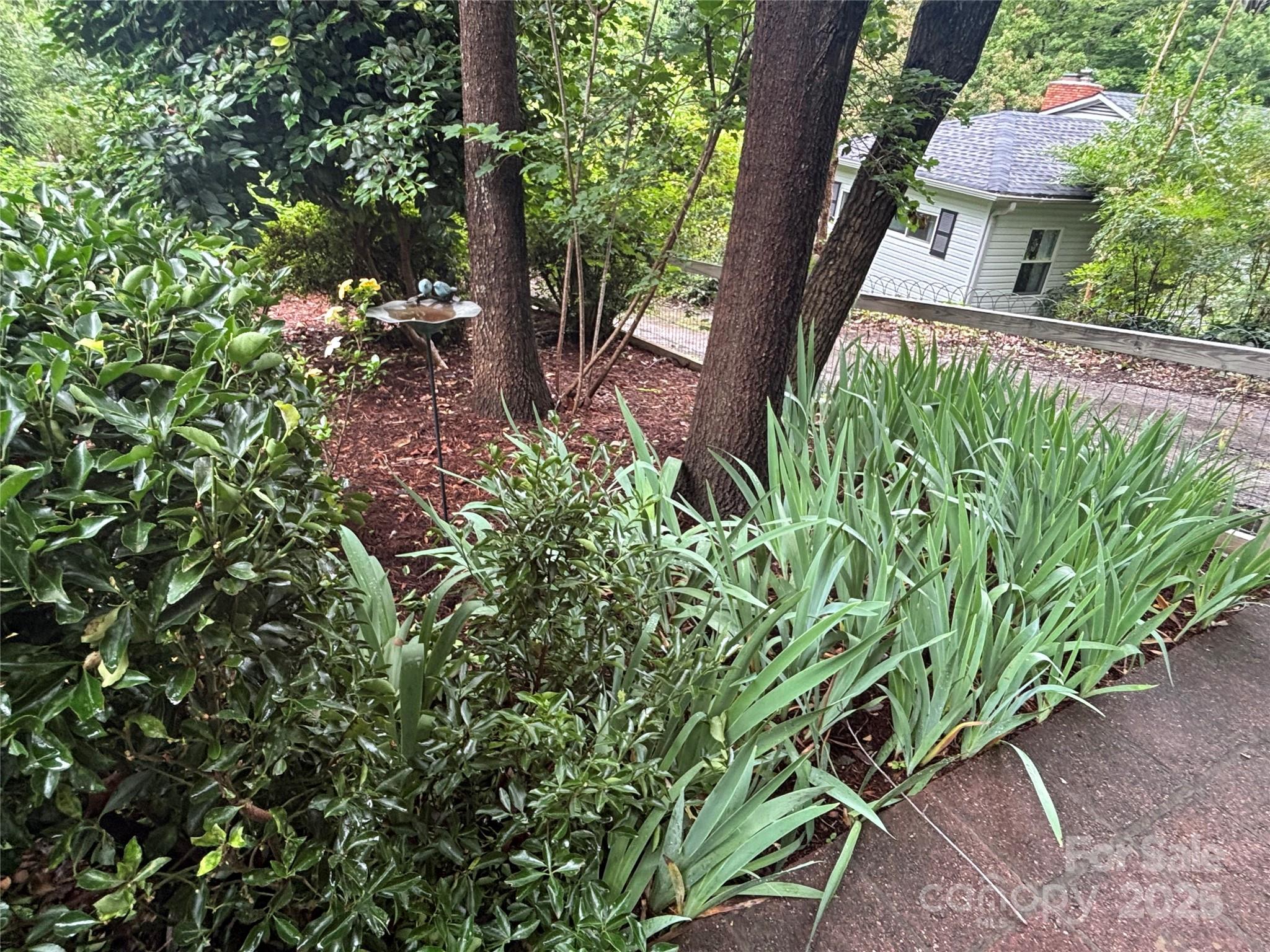 160 Hidden Hill Road Tryon, NC 28782 - Photo 40 of 47 a view of a yard with plants