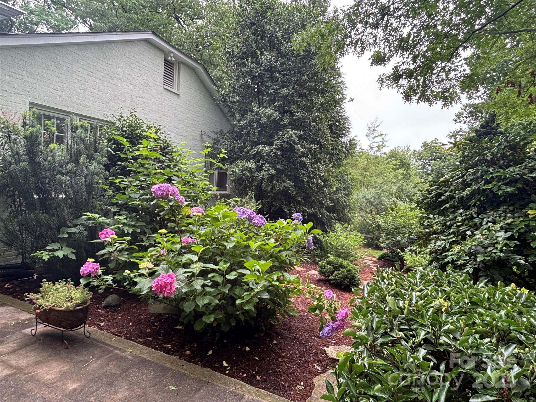 160 Hidden Hill Road Tryon, NC 28782 - Photo 9 of 47 a bunch of flowers are in a garden