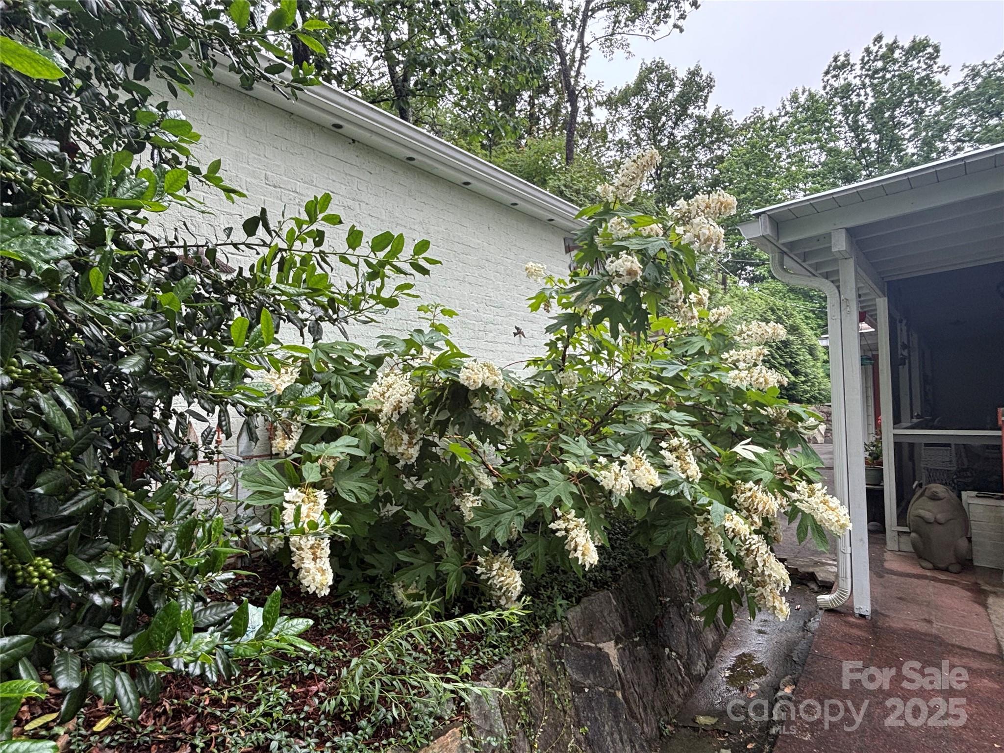 160 Hidden Hill Road Tryon, NC 28782 - Photo 10 of 47 a backyard of a house with lots of green space
