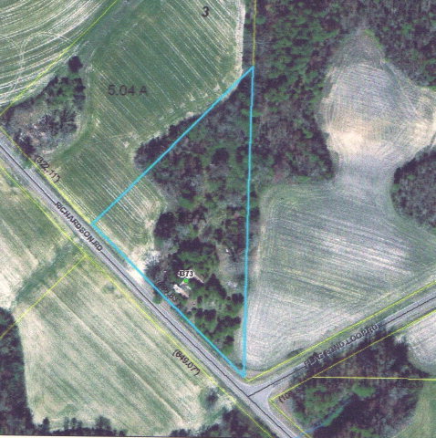0 Richardson Road Spring Hope, NC 27882 - Photo 1 of 3 Primary Photo
