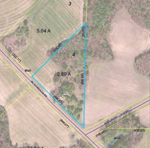 0 Richardson Road Spring Hope, NC 27882 - Photo 2 of 3 Additional Photo