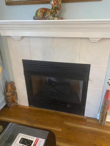 a view of fireplace and closet