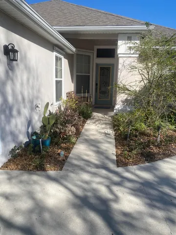a view of a backyard with plants