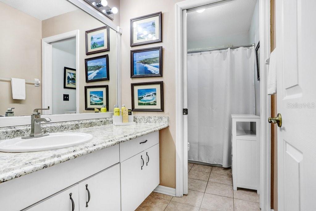 8638 Hawbuck Street Trinity, FL 34655 - Photo 33 of 43 a bathroom with a granite countertop sink and a mirror