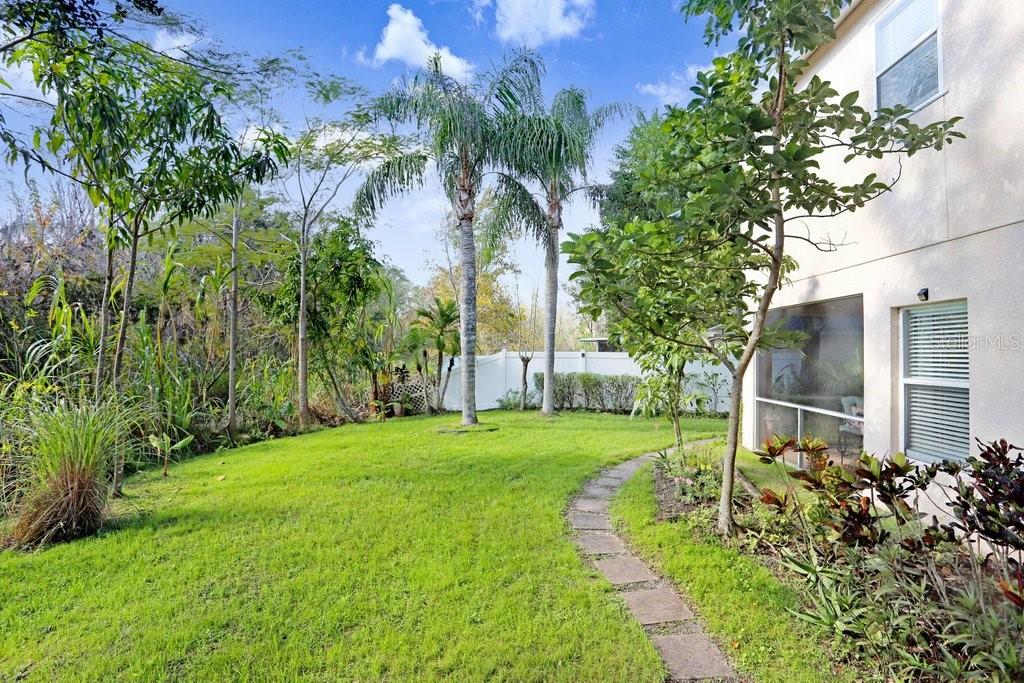 8638 Hawbuck Street Trinity, FL 34655 - Photo 39 of 43 a view of a backyard with potted plants and large trees