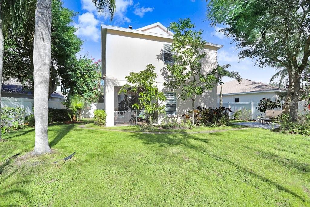 8638 Hawbuck Street Trinity, FL 34655 - Photo 40 of 43 a backyard of a house with table and chairs plants and large tree