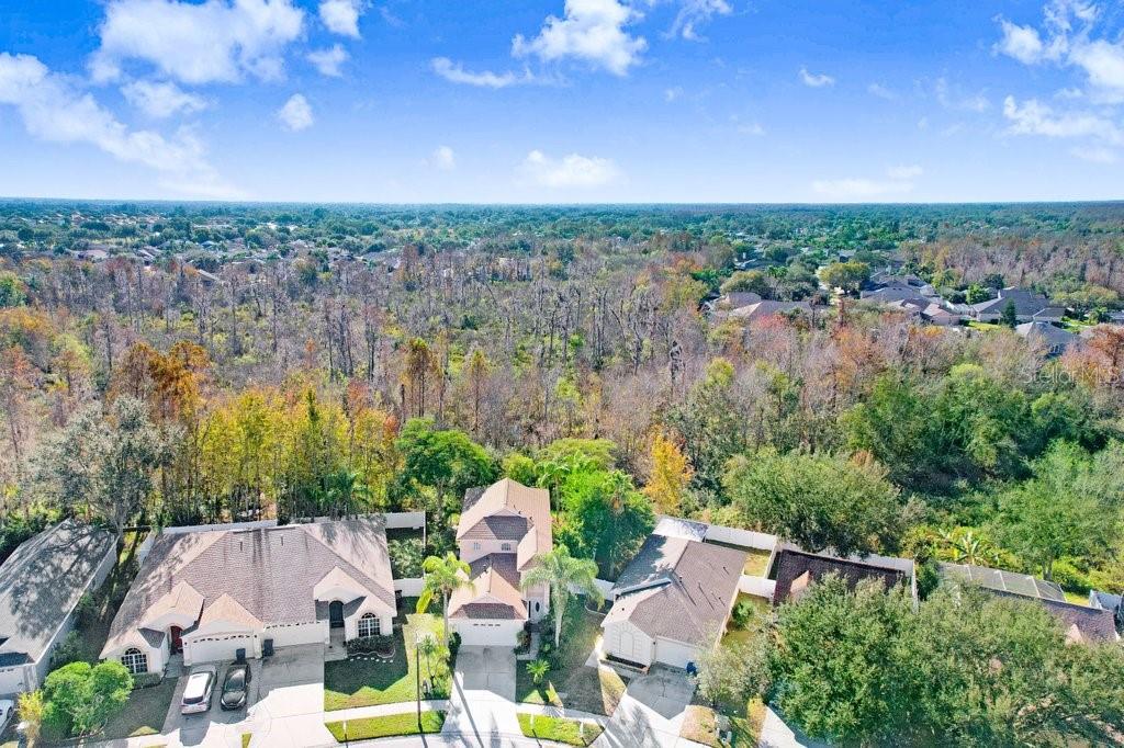 8638 Hawbuck Street Trinity, FL 34655 - Photo 6 of 43 a view of a city