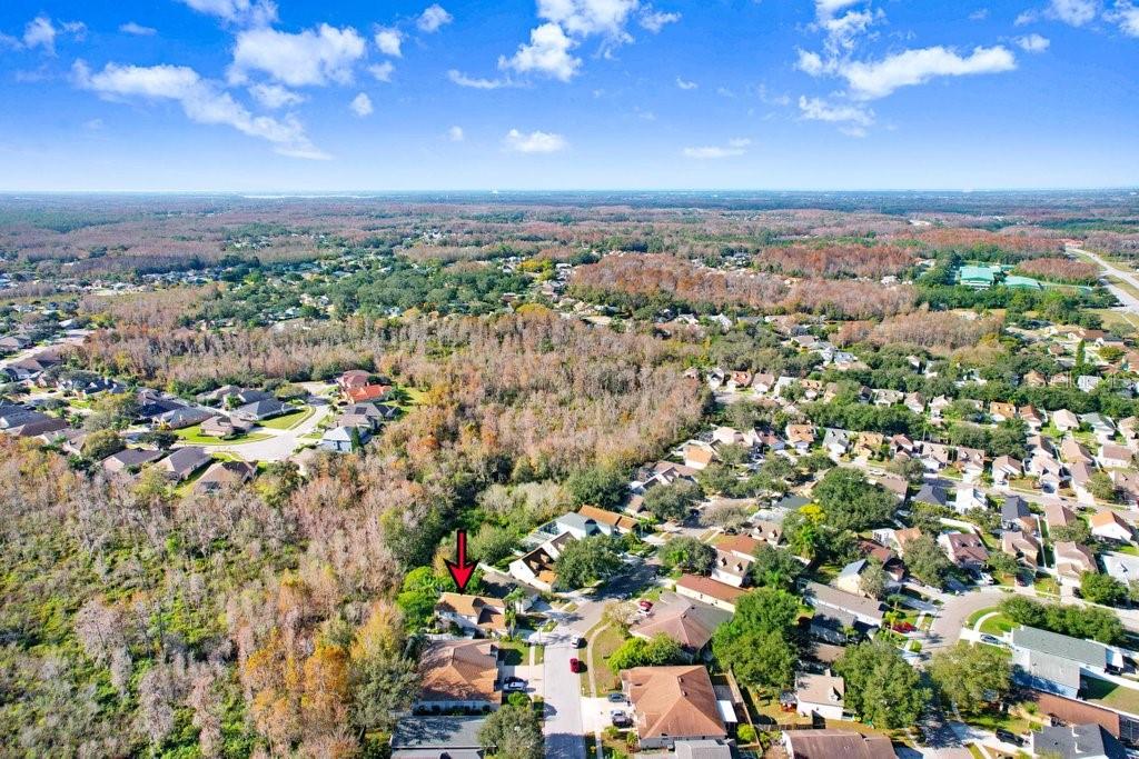 8638 Hawbuck Street Trinity, FL 34655 - Photo 9 of 43 an aerial view of a city