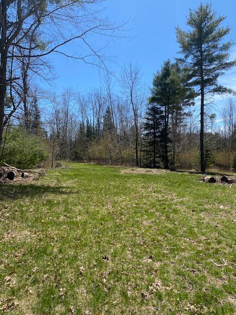 0 Mast Hill Road Bucksport, ME 04416 - Photo 4 of 11 IMG_1700