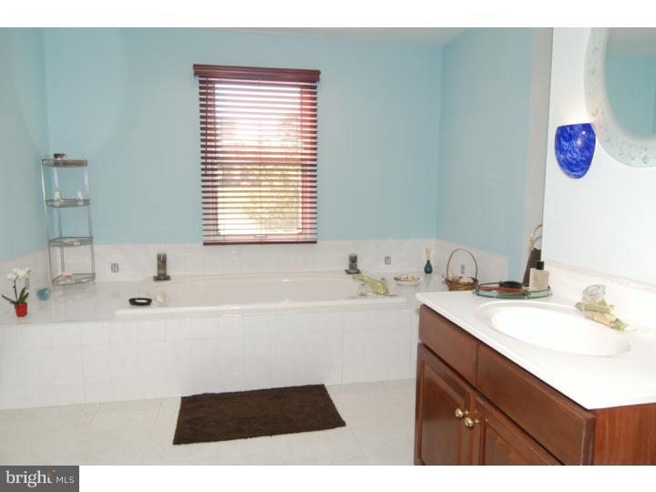 457 Rebers Bridge Road Sinking Spring, PA 19608 - Photo 11 of 25 Master Bathroom