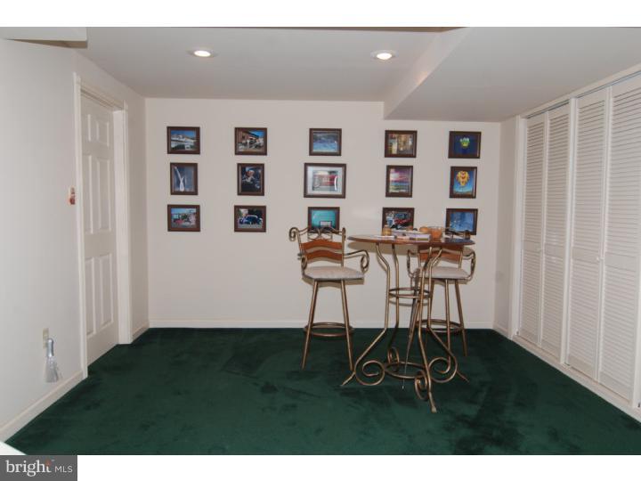 457 Rebers Bridge Road Sinking Spring, PA 19608 - Photo 18 of 25 Basement - Finished