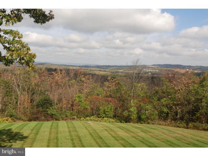 457 Rebers Bridge Road Sinking Spring, PA 19608 - Photo 19 of 25 Back Yard