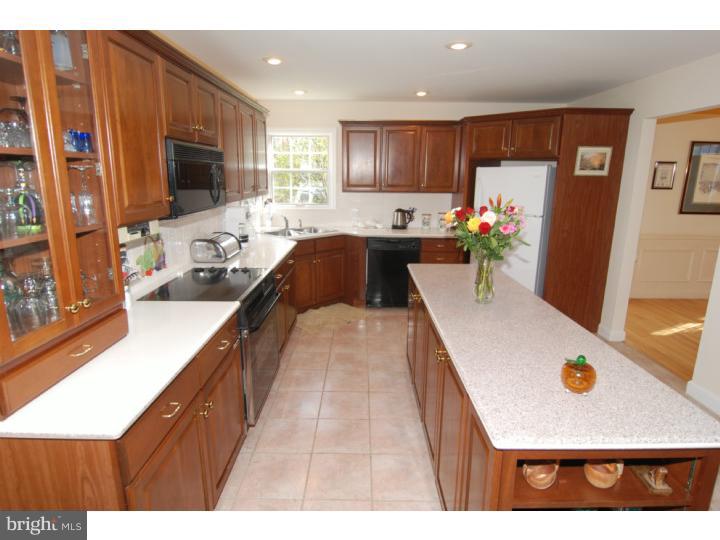 457 Rebers Bridge Road Sinking Spring, PA 19608 - Photo 6 of 25 Kitchen