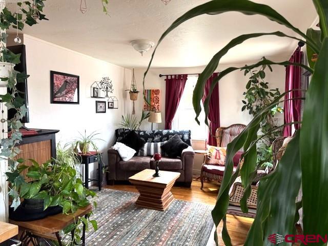 308 North Beech Street Cortez, CO 81321 - Photo 16 of 35 a living room with patio furniture and a potted plant
